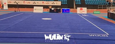 Grupo Gampi felicita al equipo de importación y a Wulin por un hito en el wushu español