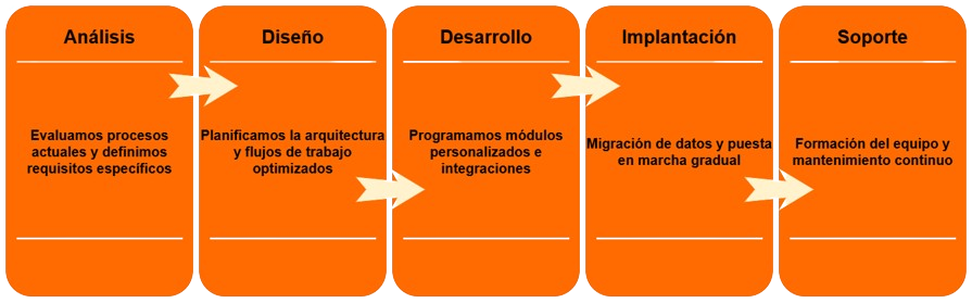 Diagramma dei 5 passi del processo di sviluppo ERP